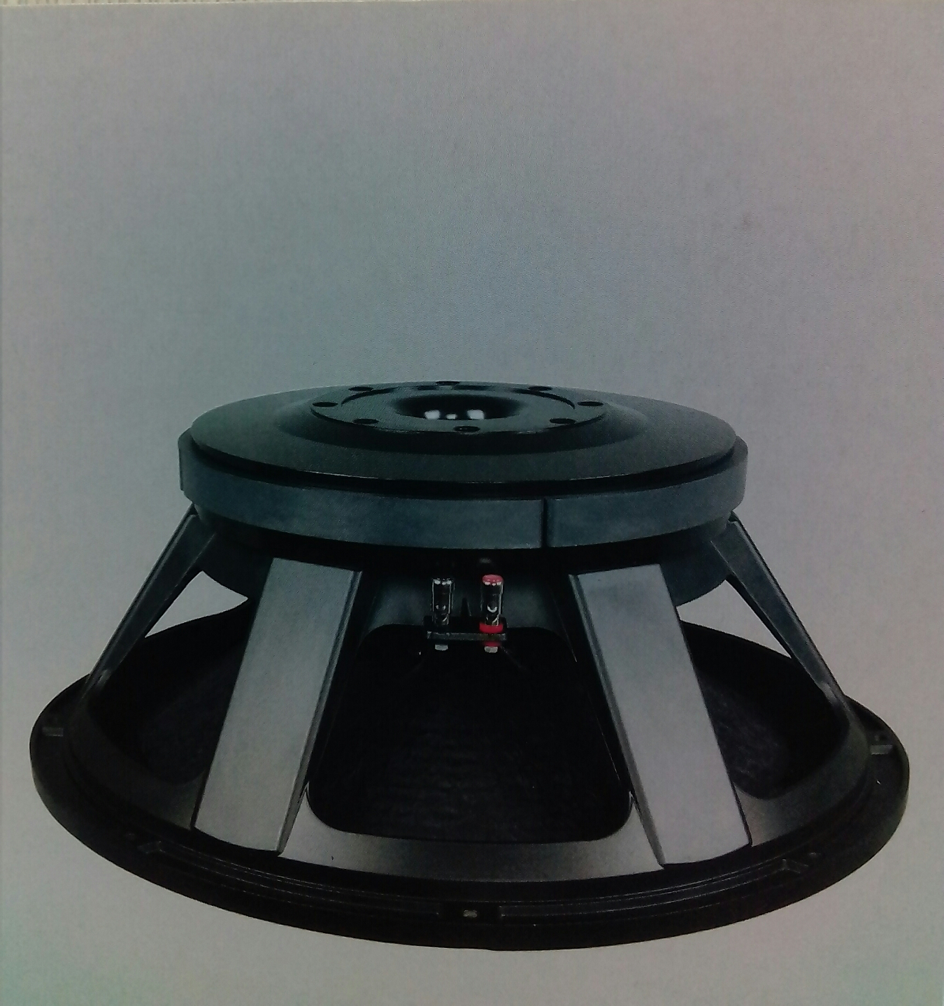21"Subwoofer