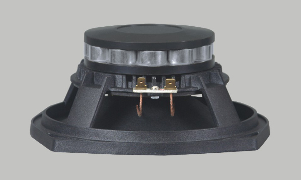 6.5'' Neodymium speaker